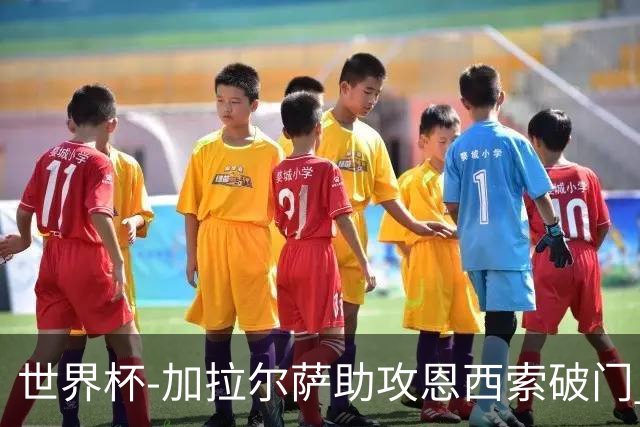 世界杯-加拉尔萨助攻恩西索破门 德国半场暂0-1巴拉圭