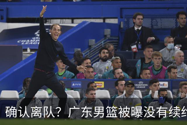 确认离队？广东男篮被曝没有续约杜锋，新主教练人选正式曝光！